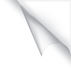 Vector white curled corner