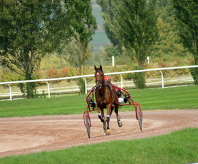 course de trop