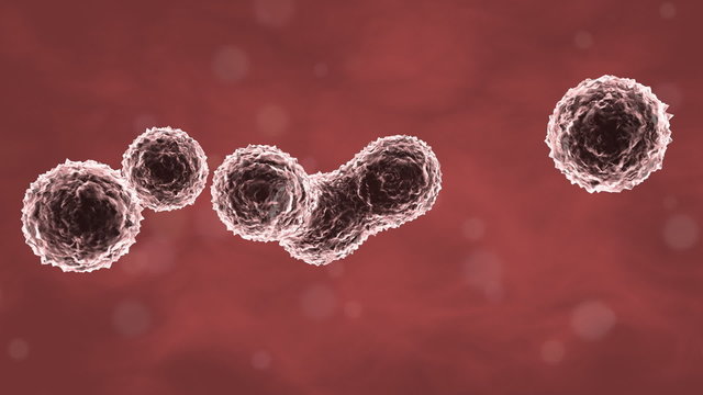 3d rendered human cells