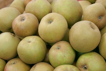 apples