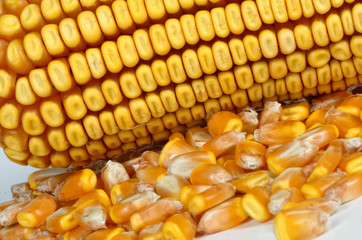 corncob background