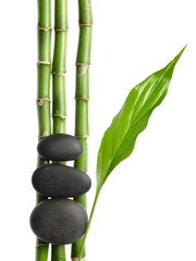 Fototapeta na wymiar Stones and bamboo