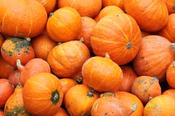 Kürbisse