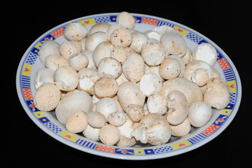 Piatto di vesce (funghi)