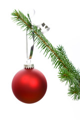 Christmas tree bauble on pine tree branch