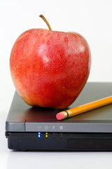 Back to school theme