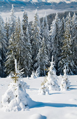 winter mountain landscape