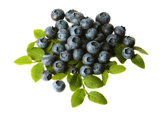 Heidelbeeren