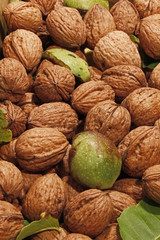 Walnüsse