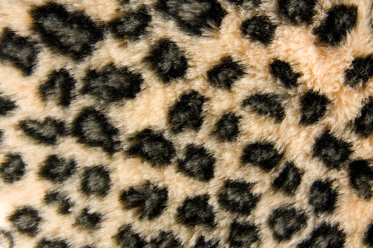 Panther fur pattern on closeup