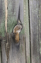 Maserung in altem Holz