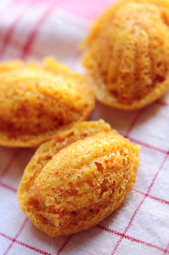 madeleine1