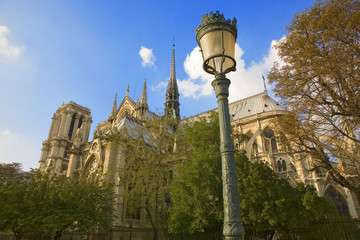 Fototapeta na wymiar france; paris; Notre Dame : façade sud et lampadaire
