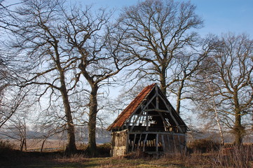 Fototapeta na wymiar ruines