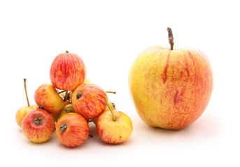 big and small apple
