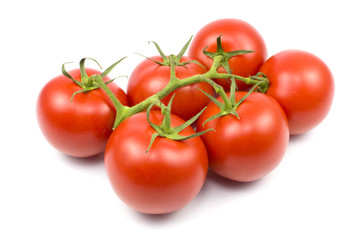 Tomaten (Solanum lycopersicum)