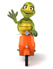 Tortue et scooter