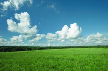 Fotobehang Green landscape © haveseen