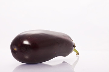 aubergine