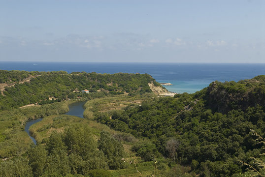 Osalla