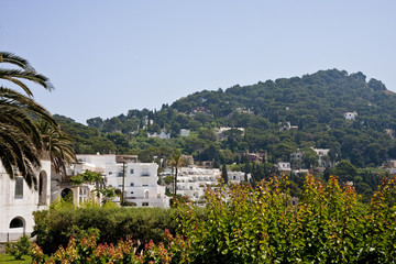 Condos on Capri Hillside