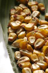 Chicchi di mais su foglia di mais