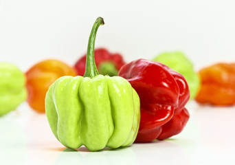 chilly pepper background