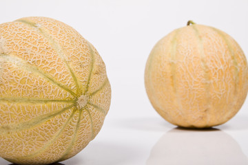Melon