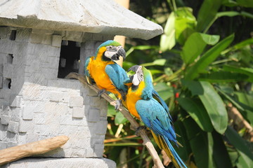 SONY DSC © Axel Gutjahr