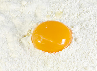 egg yolk on wheat flour