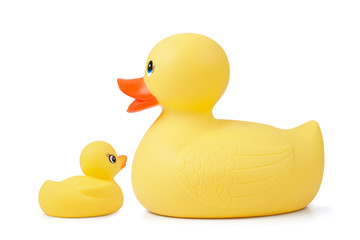 Rubber Duck With Duckling