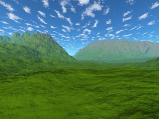 Grüne Landschaft