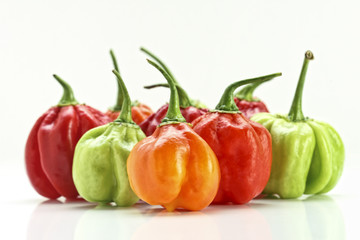 chilly pepper collection background