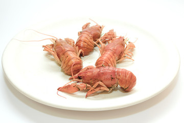 Boiled crayfish on white background