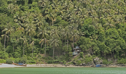 Palmtrees on east coast of Ko Lanta or Koh Lanta island, Krabi, Thailand, Asia