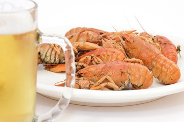 Crayfish on white a plate and beer