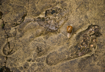 Footsteps in stone