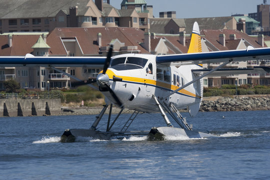 White Seaplane landing