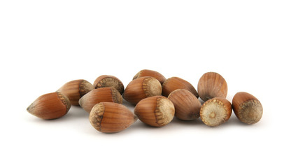 Hazelnut