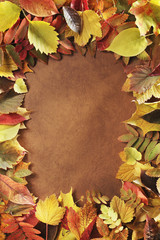 Naklejka na ściany i meble Autumn frame