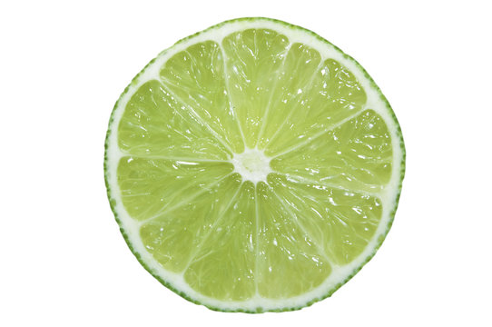 Lime Cross Section