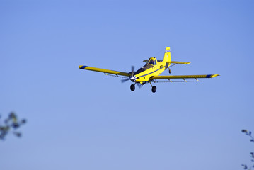 Fototapeta na wymiar Airplane spraying insecticide on a cornfield