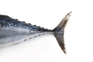 Keuken foto achterwand Vis tonijn staart