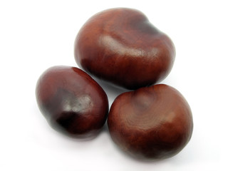 chestnuts