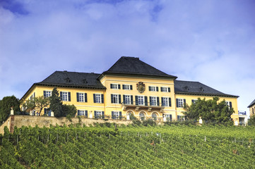 Schloss Johannisberg Im Rheingau