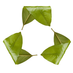 Recycle Symbol made out of Leaves