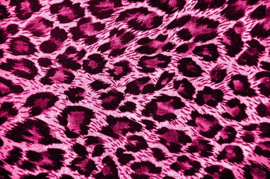 Leopard Pink Images – Browse 22,314 Stock Photos, Vectors, and