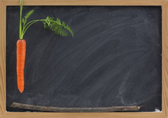carrot, stick and blackboard - school motivation