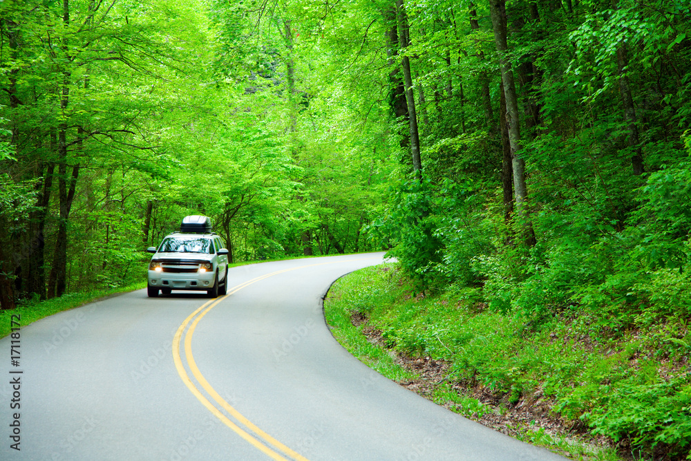 Sticker Road through the woods