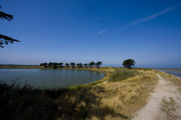 part of the island of noirmoutier